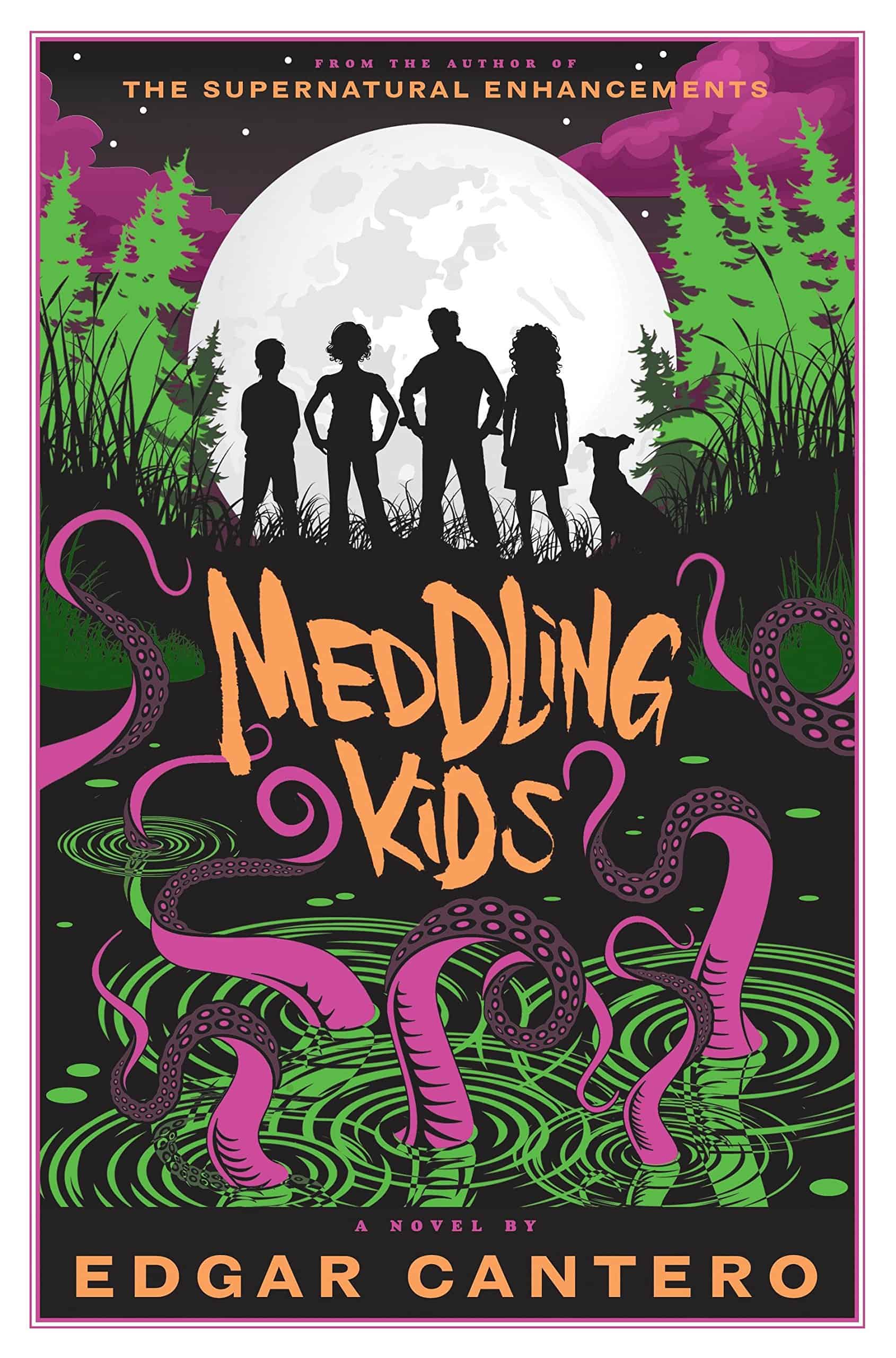 Cover Of - "Meddling Kids"