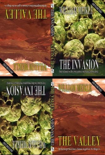 Cover Of 2. Infestation